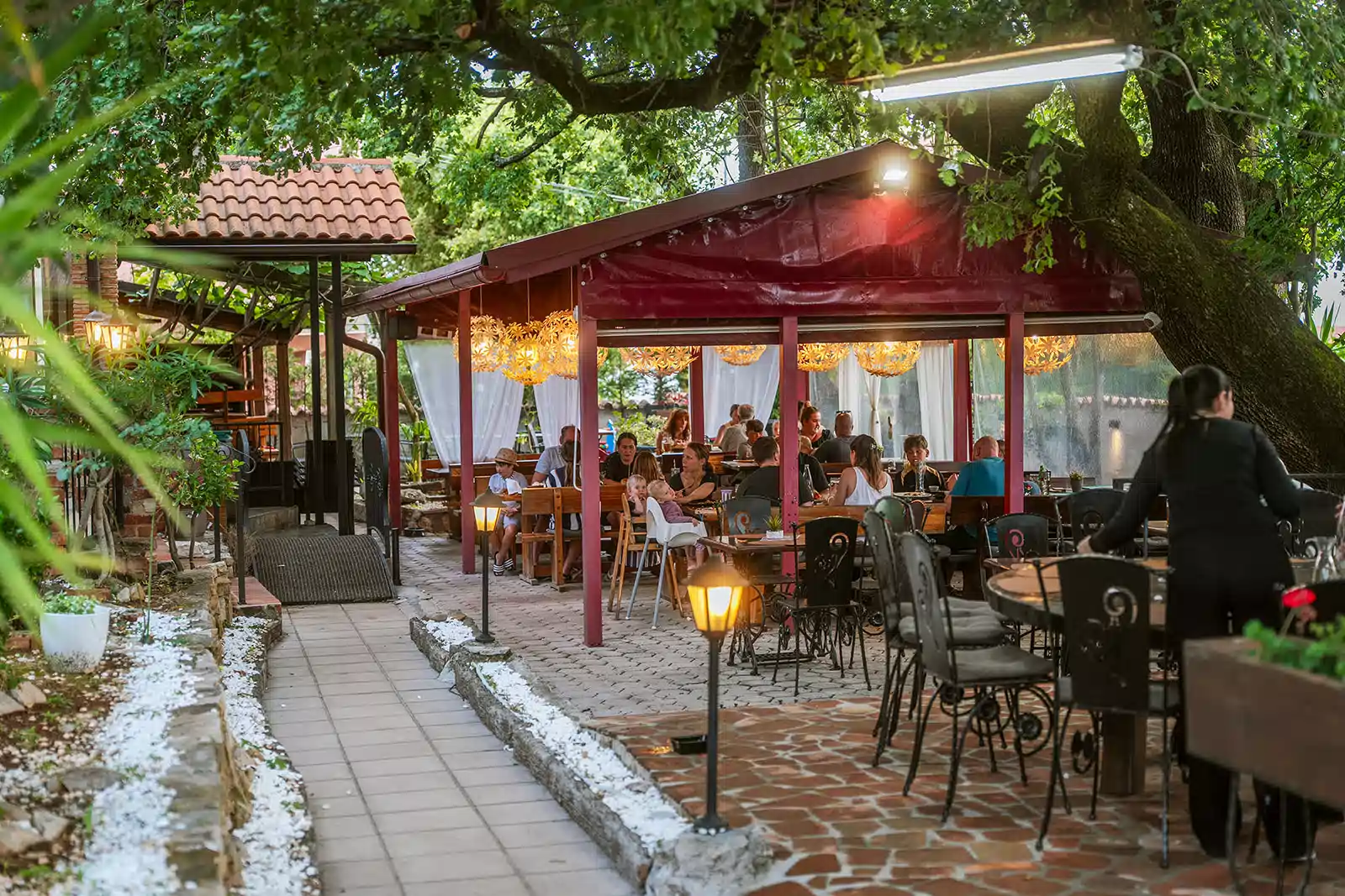 restaurant-kiwi-0